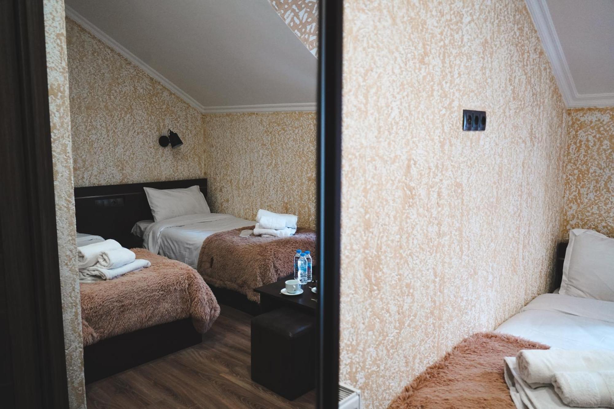 Hotel Toliketi カズベギ エクステリア 写真